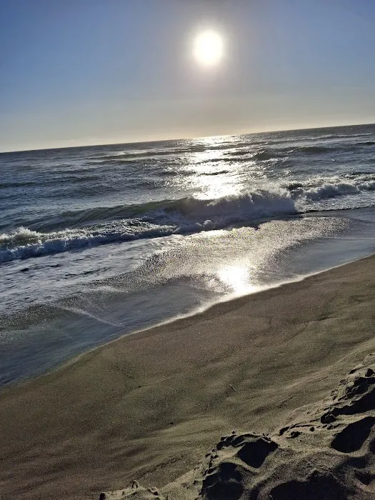 Cape Perpetua Campground Picture 4