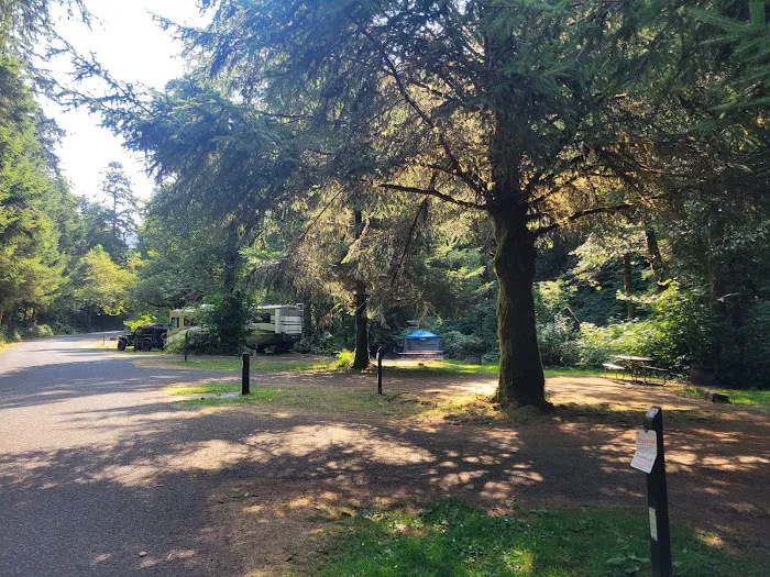 Cape Perpetua Campground Picture 2