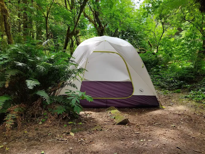 Cape Perpetua Campground Picture 8