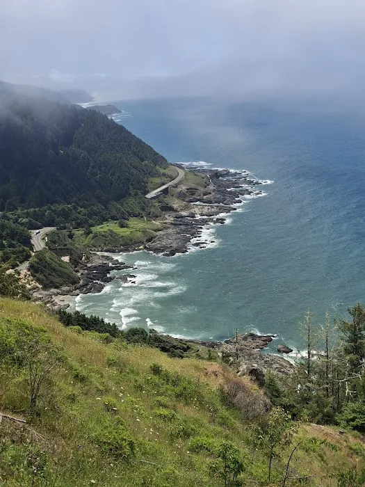Cape Perpetua Campground Picture 5
