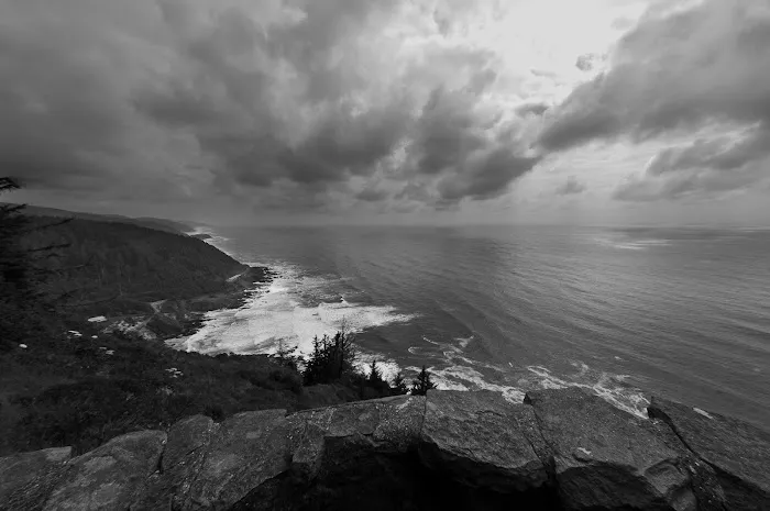 Cape Perpetua Trailhead Picture 6