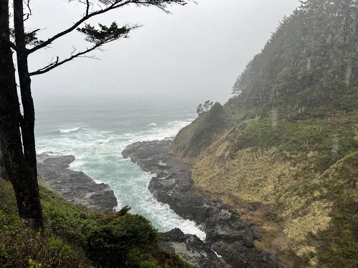 Cape Perpetua Trailhead Picture 4