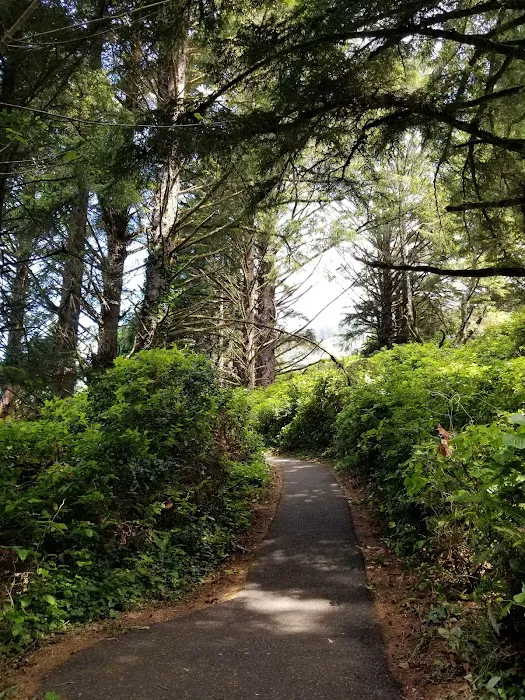 Cape Perpetua Trailhead Picture 9