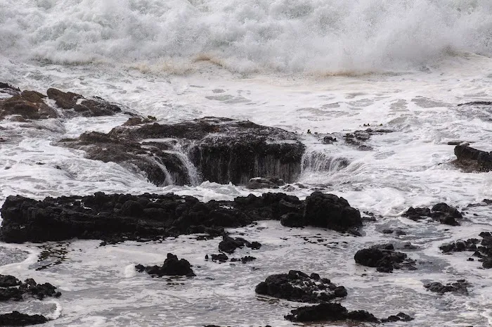 Cape Perpetua Trailhead Picture 10
