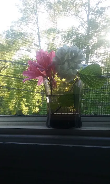 Stow Estates LLC Picture 1