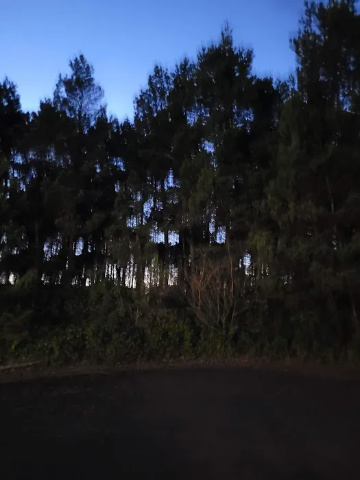 North Lodge of Whalers Rest Picture 8