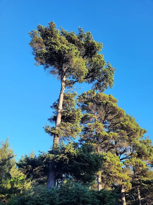 North Lodge of Whalers Rest Picture 7