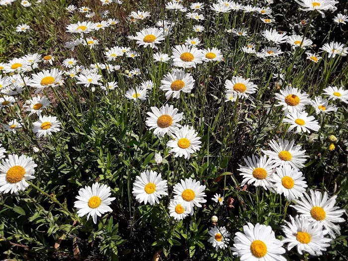 North Lodge of Whalers Rest Picture 10