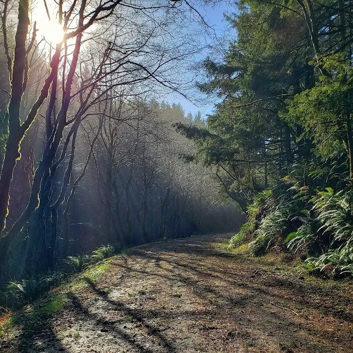 Rock Creek Campground Picture 4