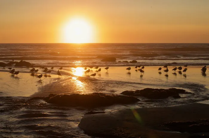 Rock Creek Campground Picture 5