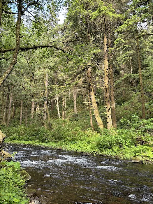 Rock Creek Campground Picture 6