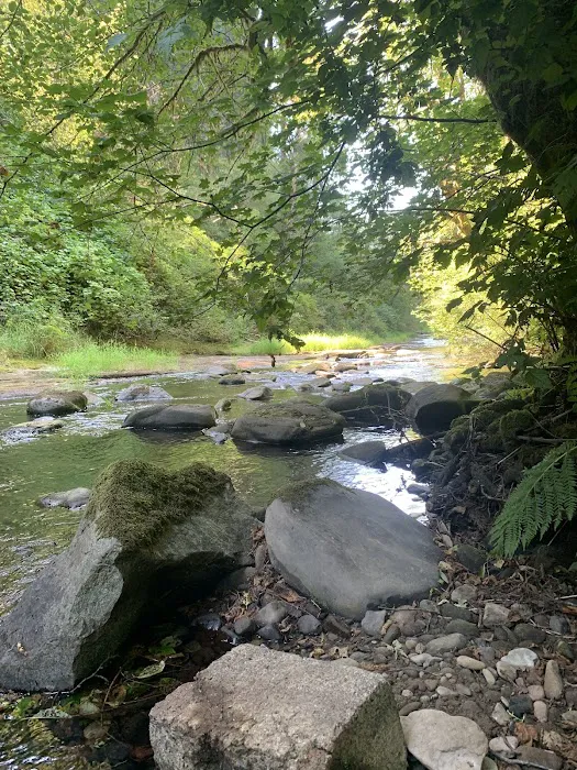 North Fork Siuslaw Campground Picture 5