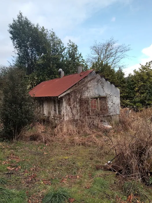 North Fork Siuslaw Campground Picture 1