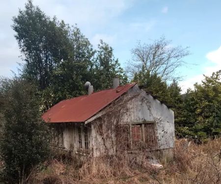 North Fork Siuslaw Campground