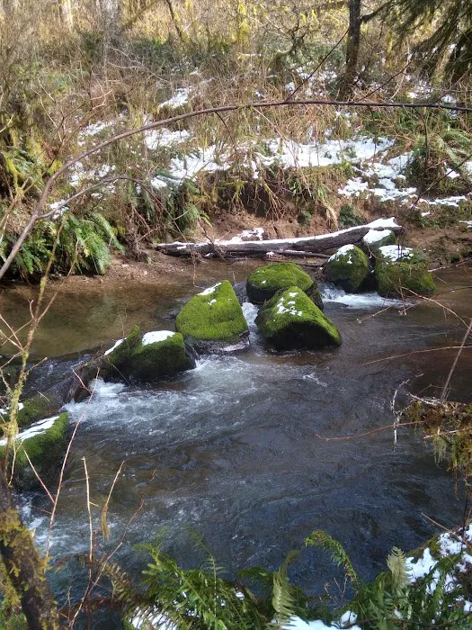 North Fork Siuslaw Campground Picture 2
