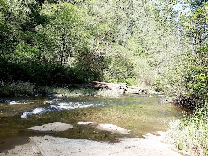 North Fork Siuslaw Campground Picture 9