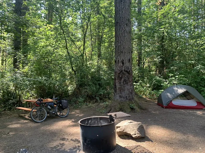 North Fork Siuslaw Campground Picture 10