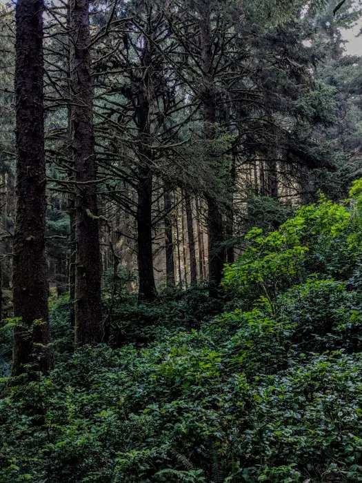 Washburne State Park Camping Picture 5