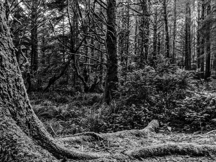 Washburne State Park Camping Picture 3