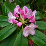 Washburne State Park Camping