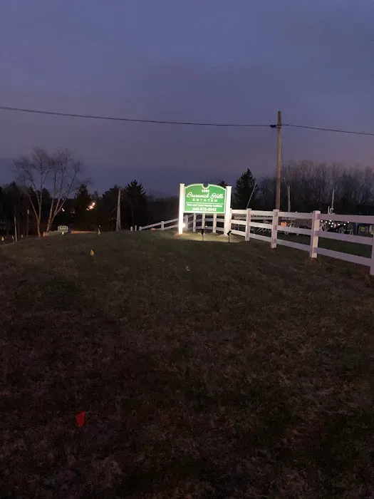 Aria Brunswick Hills Estates Picture 4