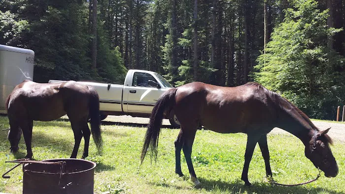 Horse Creek Campground Picture 7