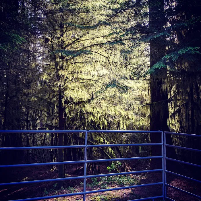 Horse Creek Campground Picture 8