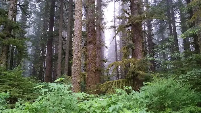 Horse Creek Campground Picture 2