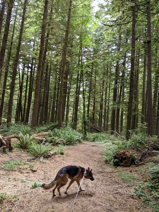 Horse Creek Campground Picture 10