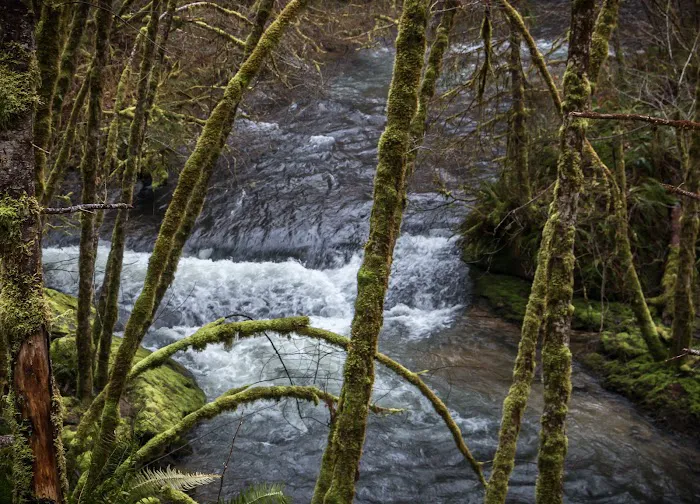 Vincent Creek Campground Picture 10