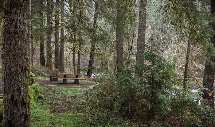 Vincent Creek Campground Picture 9