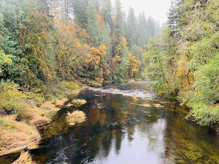 Vincent Creek Campground Picture 6