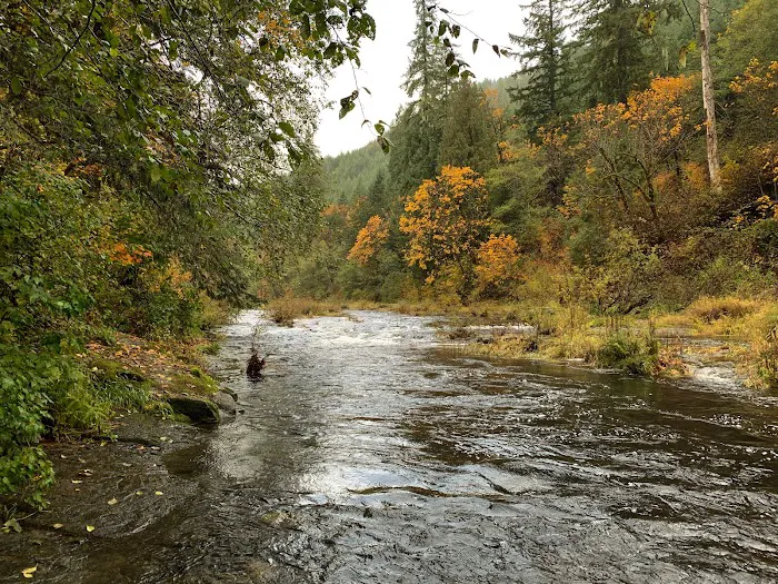 Vincent Creek Campground Picture 7