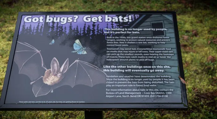 Vincent Creek Campground Picture 4