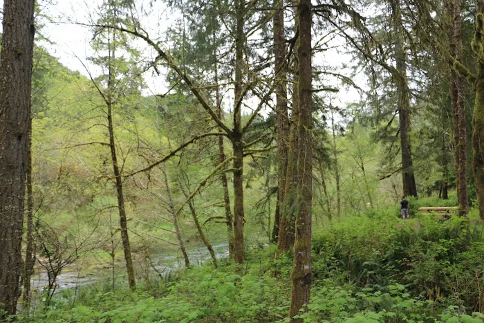 Vincent Creek Campground Picture 1