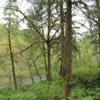 Vincent Creek Campground ico