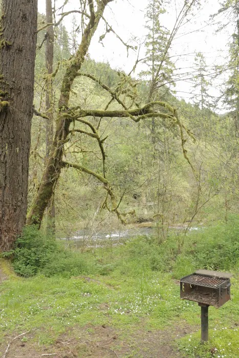 Vincent Creek Campground Picture 8