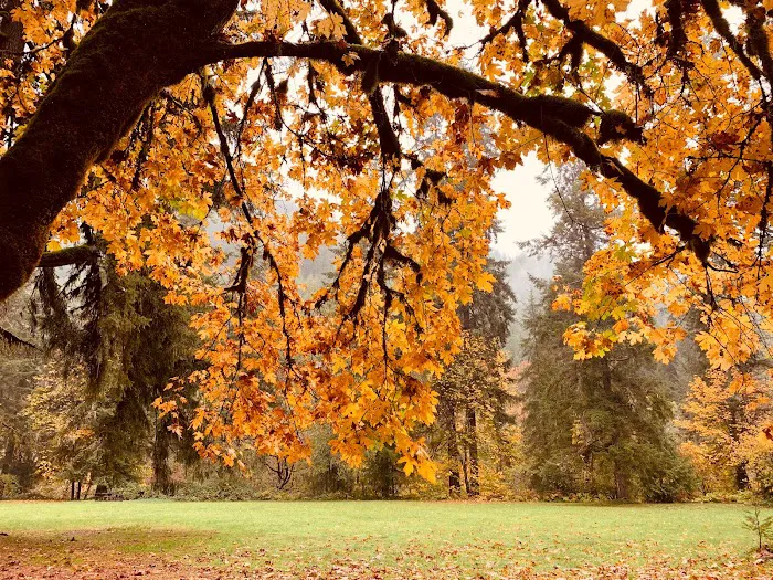 Vincent Creek Campground Picture 5