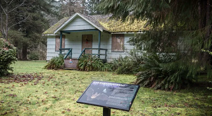 Vincent Creek Campground Picture 2