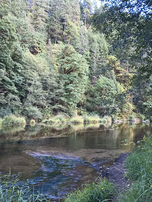 Smith River Falls Campground Picture 4