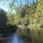 Smith River Falls Campground