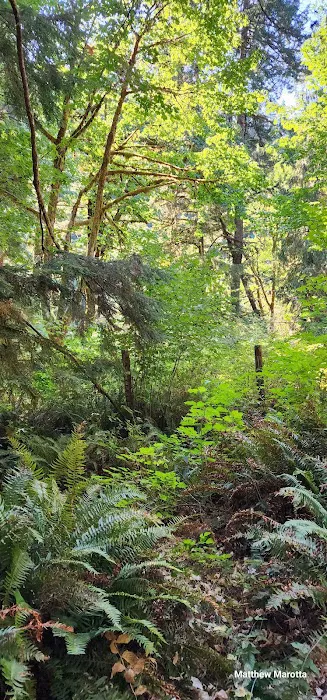 Smith River Falls Campground Picture 7