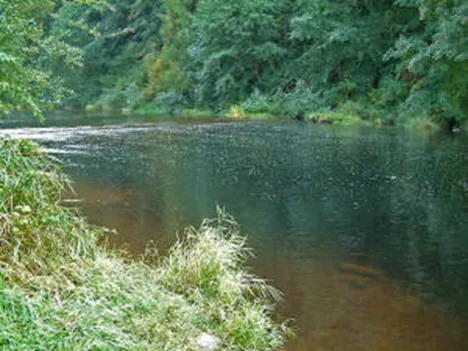 Fawn Creek Campground Picture 1