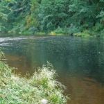 Fawn Creek Campground