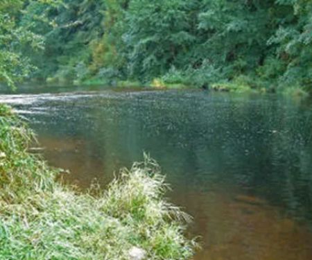 Fawn Creek Campground