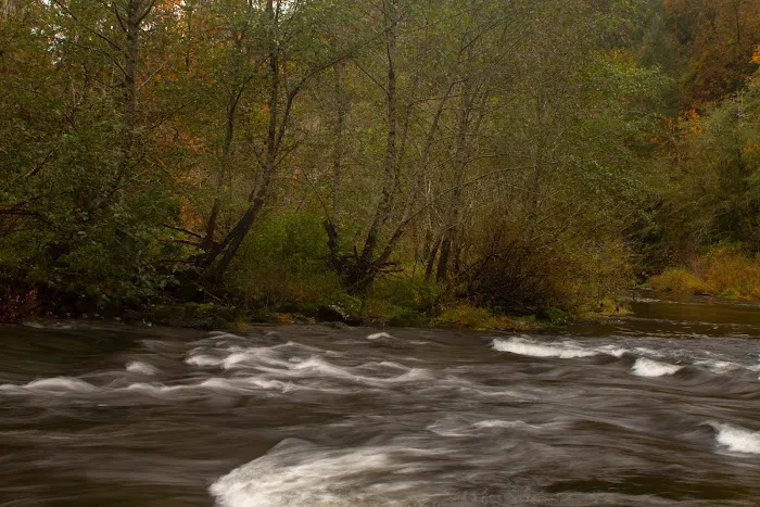 Fawn Creek Campground Picture 2