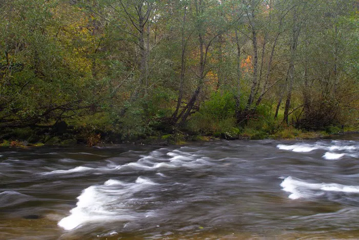 Fawn Creek Campground Picture 3