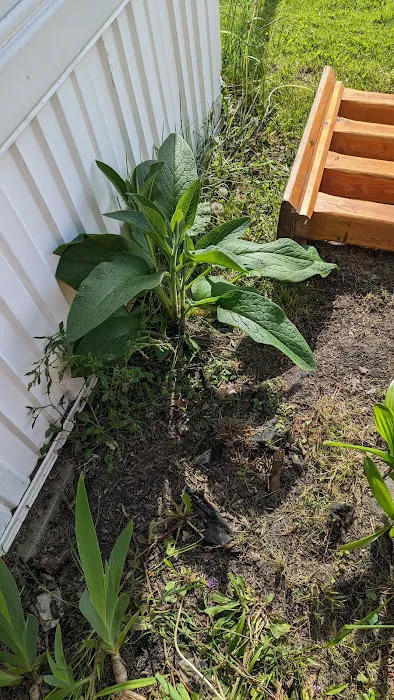 Sebring Lakes Picture 1