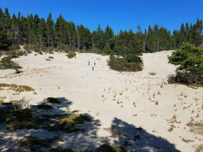Alder Dune Picture 3