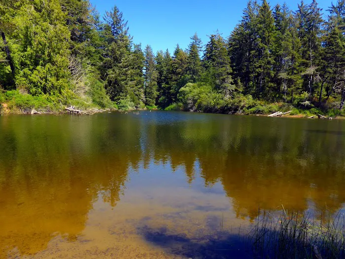 Alder Dune Picture 7